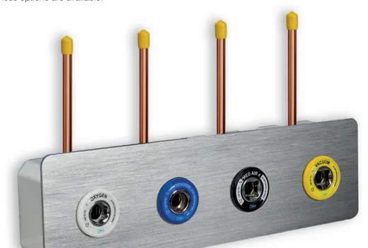 Wall Gas Module